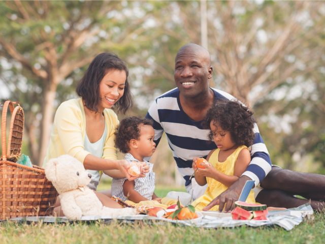 Care partner, family and friends guide