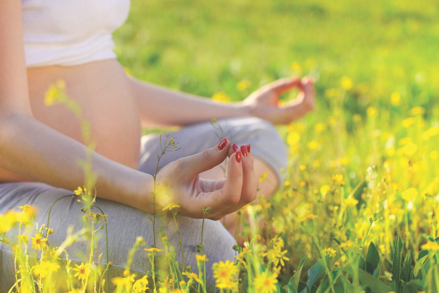 Family Planning and MS